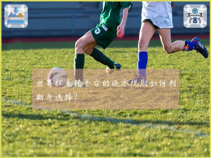 世界杯竞猜平台的返水规则如何判断与选择？