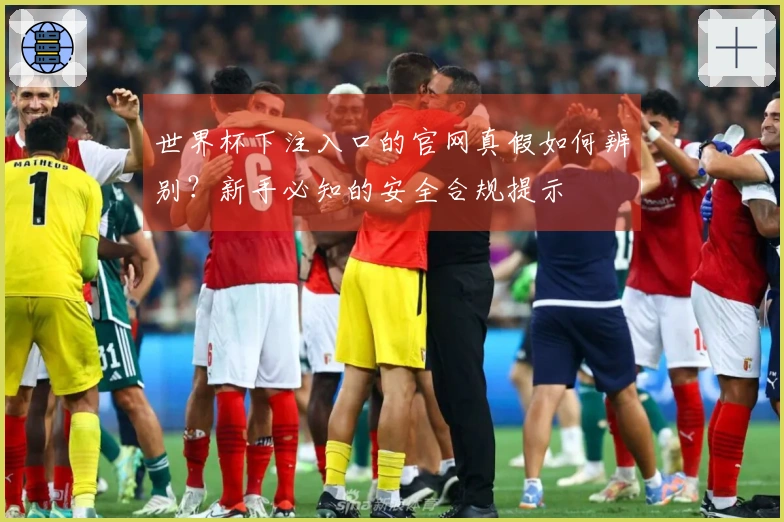 世界杯下注入口的官网真假如何辨别？新手必知的安全合规提示