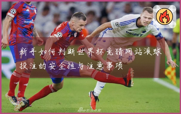 新手如何判断世界杯竞猜网站滚球投注的安全性与注意事项