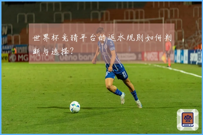 世界杯竞猜平台的返水规则如何判断与选择？