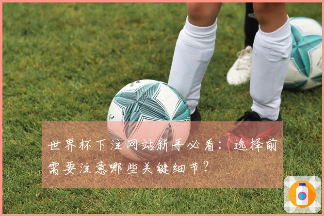 世界杯下注网站新手必看：选择前需要注意哪些关键细节？
