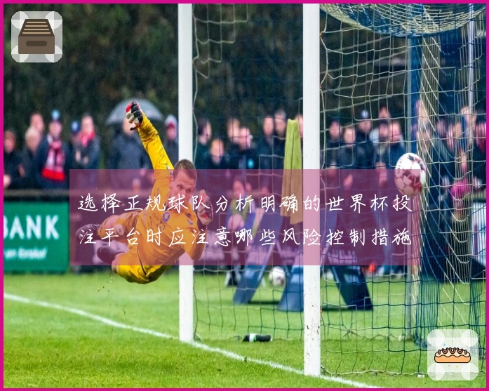 选择正规球队分析明确的世界杯投注平台时应注意哪些风险控制措施